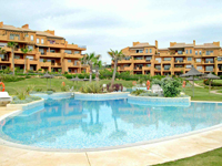 Lagoon style swimming pool
